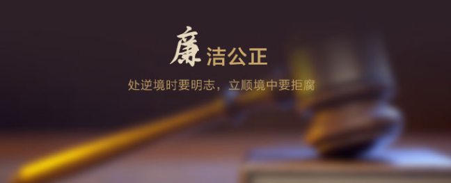 巴中市國有資本運(yùn)營集團(tuán)有限公司